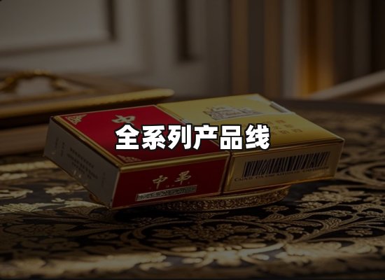 专业优势